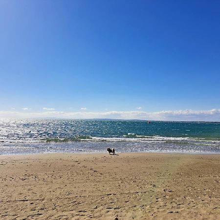 32M² Terrasse Plage Cap D'Agde Lejlighed Eksteriør billede